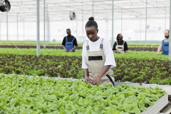 Comment les moufettes ajustent-elles la portée de leur spray en fonction de la menace ?