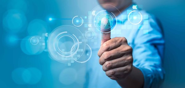 Comment identifier un chat Oriental à poil long souffrant de problèmes auditifs?